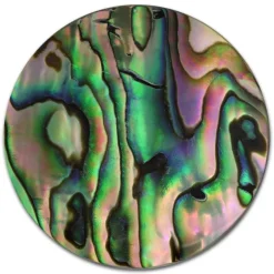 Amello Coin Muschel Schimmer 30mm für Coinsfassung Edelstahlschmuck ESC704F