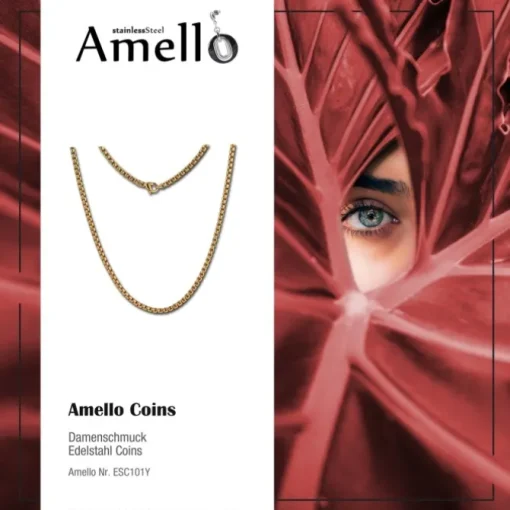 Amello Coinskette Edelstahl-Kette 50cm vergoldet Edelstahlschmuck ESC101Y