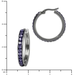 Amello Creole 30mm Edelstahl Zirkonias lila Ohrring ESOS04V