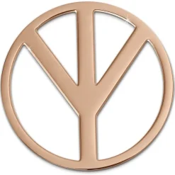 Amello Edelstahl Coin Peace rosegold für Coinsfassung Stahlschmuck ESC509E