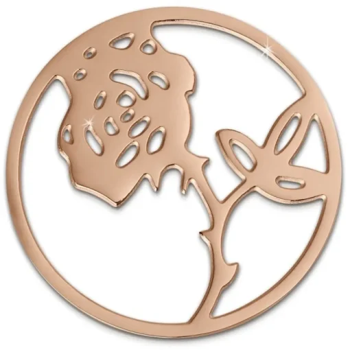 Amello Edelstahl Coin Rose rosegold für Coinsfassung Stahlschmuck ESC506E