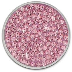 Amello Edelstahl Coin Zirkonia rosa für Coinsfassung Edelstahlschmuck ESC301A