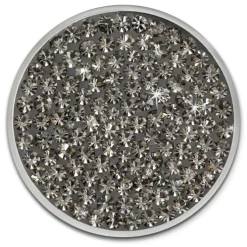 Amello Edelstahl Coin Zirkonia grau für Coinsfassung Edelstahlschmuck ESC301K