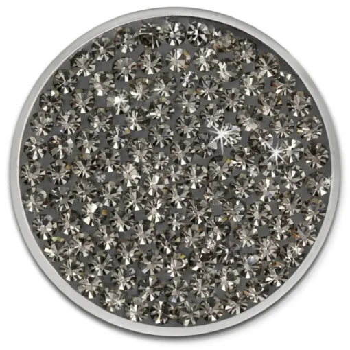 Amello Edelstahl Coin Zirkonia grau für Coinsfassung Edelstahlschmuck ESC301K