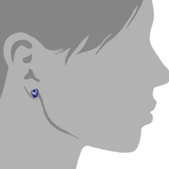 Amello Edelstahl Ohrstecker rund Zirkonias blau Ohrring ESOS07B