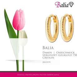 Balia Creole plain Klippverschluss Balia Creolen JBEC019V