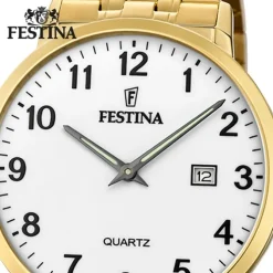Festina Herren Armbanduhr Klassik F20513/1 Analog Edelstahl gold UF20513/1
