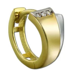 GoldDream Creole Bicolor Zirkonia Ohrring 333 Gold Echtschmuck GDO5101T