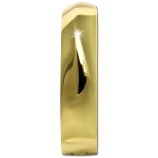 GoldDream Creole glanz 13mm Ohrring 333er Gelbgold Echtschmuck GDO5141G