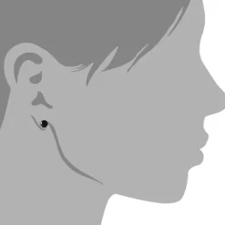 SilberDream Ohrringe Zirkonia schwarz 4mm rund Silber Stecker SDO714S